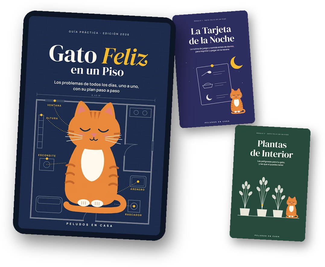 El libro Gato Feliz en un Piso con sus 2 regalos